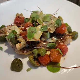 Red Snapper