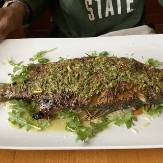Whole Rockfish