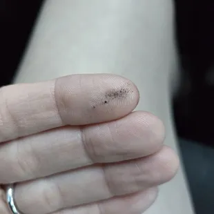Charred piece clearly shown.