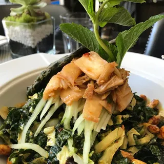 Kale Sea (Living Food)