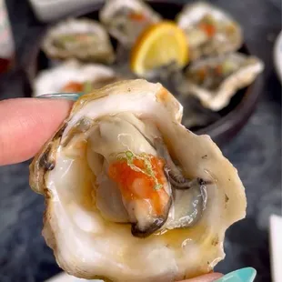 Fresh Oysters