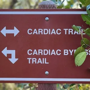 Cardiac Hill trail