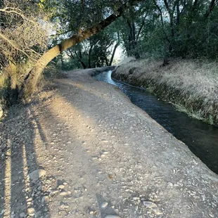 Canal trail