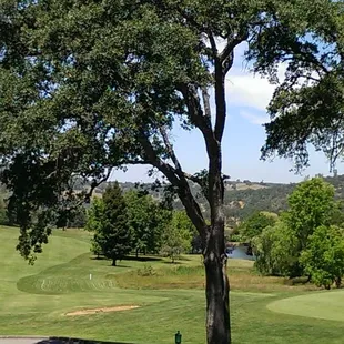 18th Green
