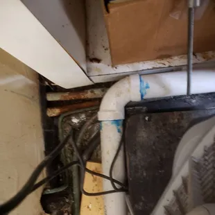Again moldy old debris sitting beside where they slice your meats.