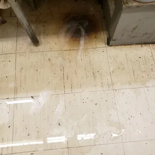 This happens when you empty the sinks because the grease traps haven&apos;t been cleaned out in yrs.