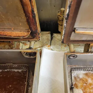 Audubon foodland conditions