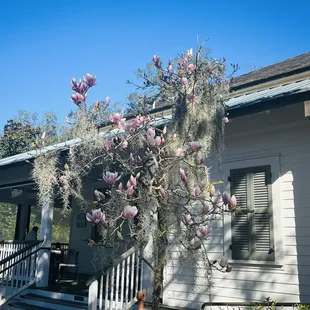 Outside