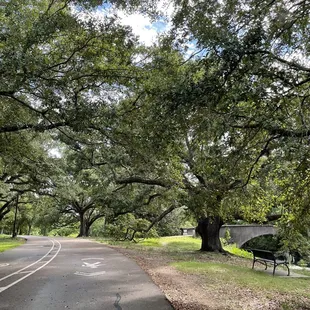 Most beautiful park in NOLA