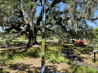 The Sydney and Walda Besthoff Sculpture Garden