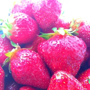 strawberries in a bowl