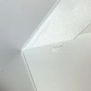 Plastic found in the burger