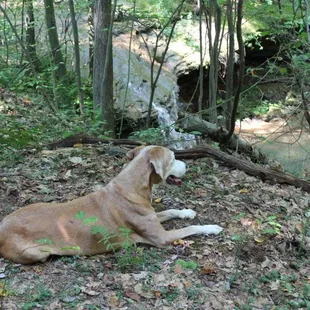 August up above the water falls.