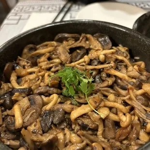 Assorted organic mushrooms rice in hot pot