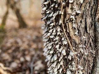Cincinnati Nature Center