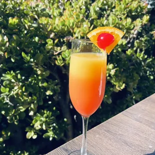 Sunrise mimosa