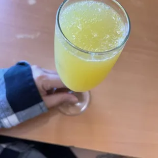 Mimosa