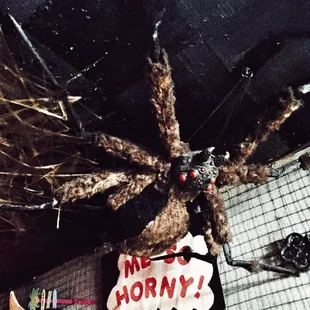 Awesome fun crowd and drinks are strong! Fun!