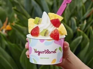 Yogurtland - Barranca Pkwy