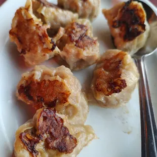 Fried pork dumplings