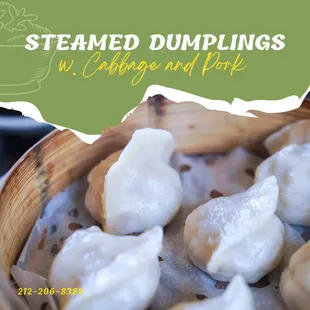 Steamed Dumplings