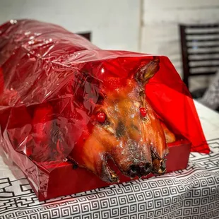 roasted pig