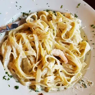 Pasta Alfredo