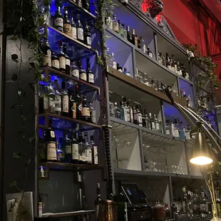 shelves of gin and absinthe