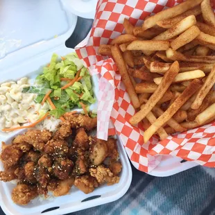 Garlic Chicken Plate ($8.50) and Fire Fries ($5)