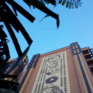 Chillin on the bench staring up in front on Aunty's....