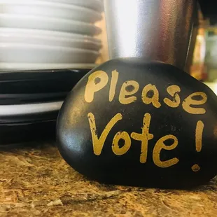a rock with the words please vote written on it