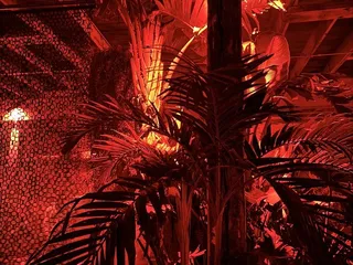 In The Lowest Ferns