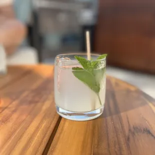 Green Fairy In the Garden