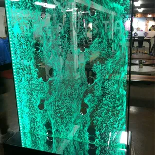 a glass aquarium with a green glow