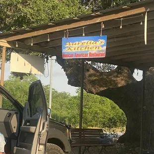a truck parked under a tree