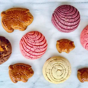 Classic pan dulce, conchas and marranitos