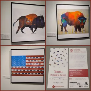 Tatanka: The Spirit of the Land  07-12-2022