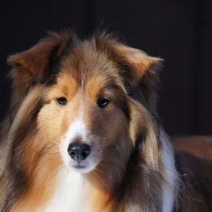 Beautiful "Teddy" Schauer