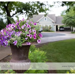 @ Midwest LifeShots Photography www.midwestlifeshots.com