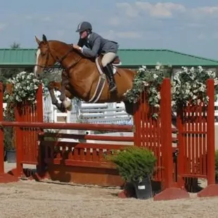 Back in the days of the regular working hunters