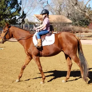 Now offering riding lessons