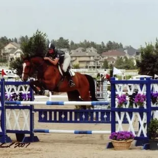 Alexander in the 1.30m Jumpers