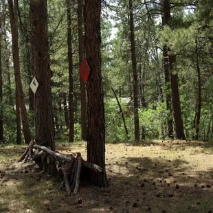 One of our cross country jumps