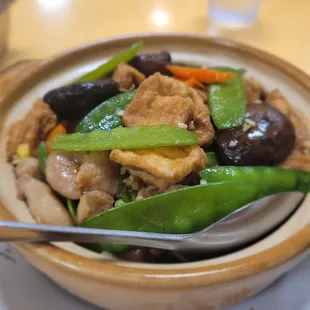 Dinner@Au's Garden; 6/14/2023. Bat Jun, no Seafood please, comes with Chicken, Tofu, Mushrooms, few pieces of Char Siu.