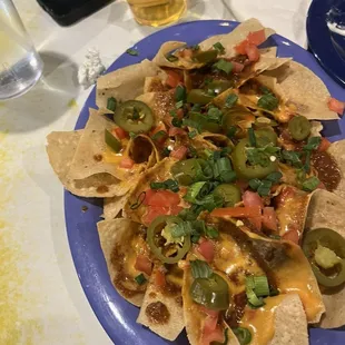 Sloppy Nachos