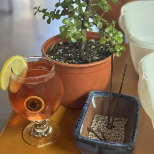 Cider and bonsai