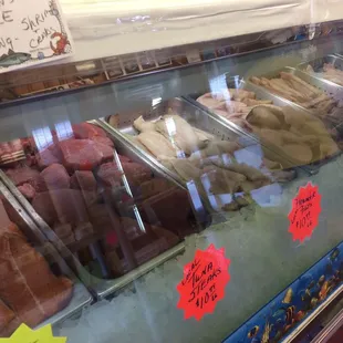 Fish counter- 2016