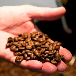 a hand full of coffee beans
