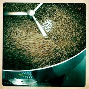 Fresh roasted coffee