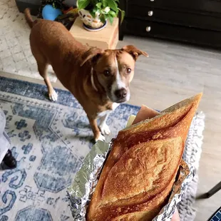 The Parisian: A simple but delicious classic: fresh baguette with butter, ham and Swiss cheese.